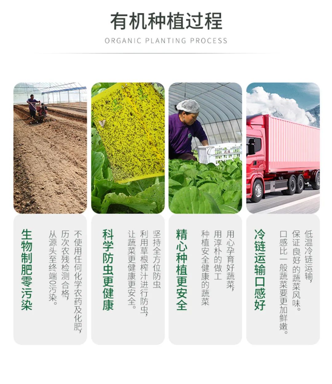 有機(jī)菠菜面.jpg