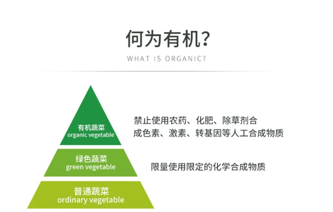 有機(jī)菠菜面.jpg