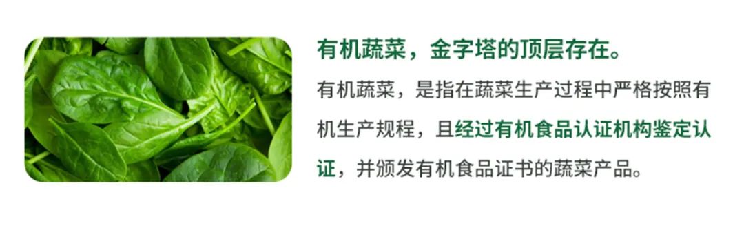 有機(jī)菠菜面.jpg