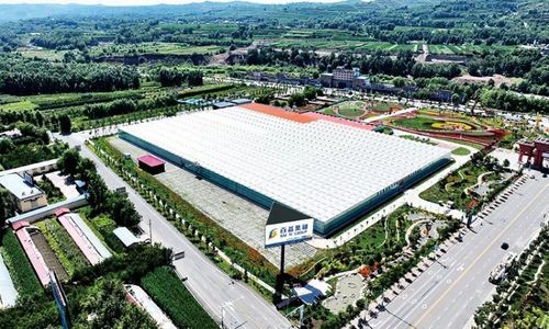 黃土地綻放美麗經濟 臨夏百益現代農業科技有限責任公司技術開發側記