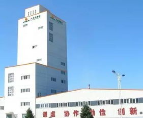 從田間到科技前沿 農民創業者如何駕馭數十億級技術開發市場