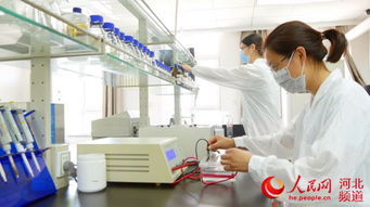 科技創新引領藍色經濟新未來——秦皇島領先生物的技術開發之路