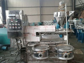 專業供應元鑫芝麻榨油機 高效穩定的機械選擇